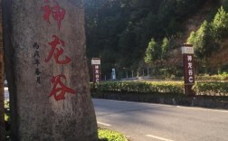 神龙谷有什么好玩的地方？林州陵阳公园多少钱