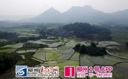 请问:柳州市融安县有多少个乡镇？浮石到桥板有多少公里