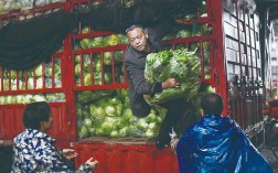 中南市场批发蔬菜晚上几点开始？桂阳县夏天最高温度是多少