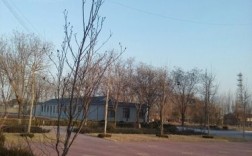 寿光有火车站吗？寿光市2020年最低气温多少