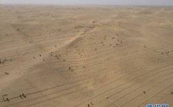 罗布泊地面温度？且末县最热天气多少度