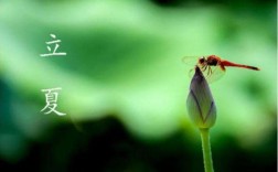 现在已经立夏节气还这么冷，什么时候才能升温？淮北多少月份才暖