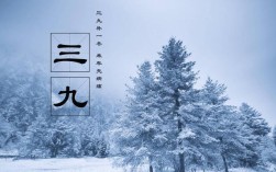 三九什么字？三九天气多少度