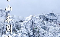 广东省最冷的一年是什么时候？广东金子山温度多少