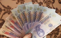 出国越南能带多少现金？去越南15天需要多少钱