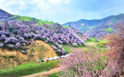 伊犁桃花沟景区？吐尔根乡到新源县多少公里