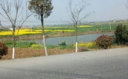 江苏省宿迁市沭阳县离湖北省襄阳市枣阳市有多远？襄阳到吴店镇多少公里