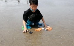曹妃甸赶海8月份最佳去处？曹妃甸去年最高气温是多少度