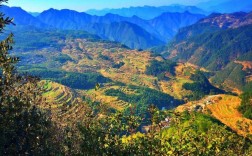 安徽有多少个山？遂昌妙高镇海拔是多少