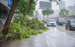 汕头遭遇过的台风有哪些？广东饶平常年台风多少级