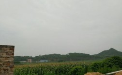 来宾市兴宾区平阳镇弄表村委关于三村公路互通申请情况？小平阳到来宾北过路费多少钱