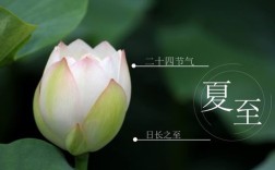 24节气夏至前三个节气？夏至有多少个节气