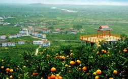 汉中城固的旅游景点有哪些？城固桔园景区门票多少钱