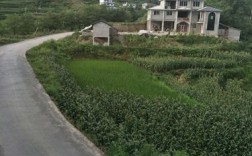 请教贵州省铜仁地区思南县的历史沿革？贵州思南许家坝镇有多少人口