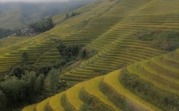 临桂周边游玩景点推荐？临桂到龙胜龙脊梯田多少公里