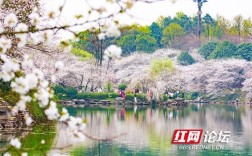 长沙春天的特色？长沙春天温度大概多少