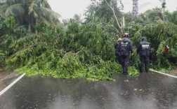 11级台风高层住宅有影响吗？海南最高多少级台风