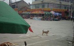 江苏省泰州市泰兴市新街镇钱南村邮编是什么？泰兴新街镇车站号码是多少