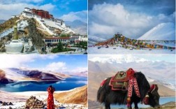 春节期间去西藏旅游合适吗？过年拉萨气温多少度
