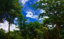 西双版纳夏天最热多少度？4月版纳气温多少度