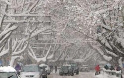2008年大雪有多严重？08年广西下雪多少度