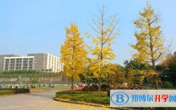 广安市恒升高中有课后廷时费吗？广安恒升房价多少一平方