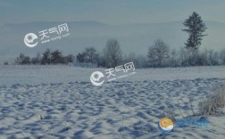 今年一九到三九是什么时间？天气一九是多少度