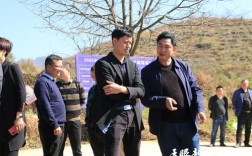 毕节织金县有那几个乡和村啊？织金县鸡场乡邮政编码是多少