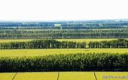 三江平原什么时候春耕？黑龙江省富锦市今天多少温度