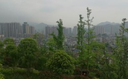 贵州橦梓县的地质、气温、海拔高度？黔北现在气温多少度