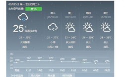 深圳龙岗中心城天气预报？今天深圳有没有雨气温多少度