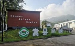 在中国什么动物最好看？洛阳市嵩县九皋镇乡人口多少