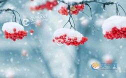 元旦会下雪吗？元旦温度大概多少度