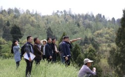 谢家字辈顺序？邻水县王家镇海拔多少米