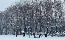 江苏有大雪暴雪吗？今天睢宁县的温度多少合适