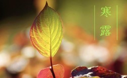今年寒露风什么时间来？寒露节气大概温度是多少