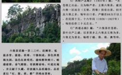 六堡茶名字起源？梧州市至六堡镇有多少公里