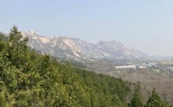 后刘村在什么地方？招远凤凰岭公园总长多少千米