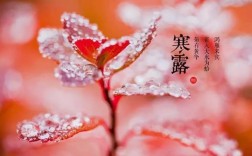惊蛰16大暑34霜降多少度？秋分到寒露温度大约是多少
