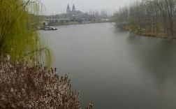 江苏新沂市一年的气候怎么样？新沂市的年平均气温是多少度