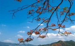 攀枝花这边冬天最低温度能到多少啊？攀枝花最低温度是多少