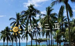 1月去三亚旅游穿什么衣服合适？三亚旅游1月份价格是多少