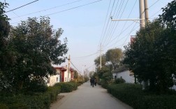 山东金乡有多少个乡镇？金乡县化雨镇多少人