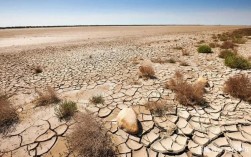 沙漠每天增加多少平方公里？每天有多少土地荒漠化