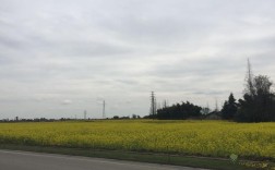 崇州的气候类型是？崇州天气是多少明天