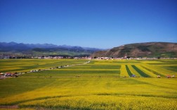 国庆去扁都口能看到油菜花吗？门源平均气温是多少