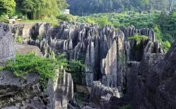 石柱的哪个地方最好耍？石柱到鱼池有多少公里