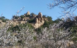 北镇市是属于哪个省市？辽宁省北镇今天多少度