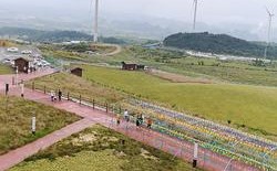 7月龙里大草原好玩吗？龙里大草原多少度