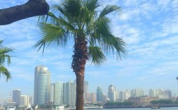 12月鼓浪屿穿衣攻略？12月的厦门温度是多少
